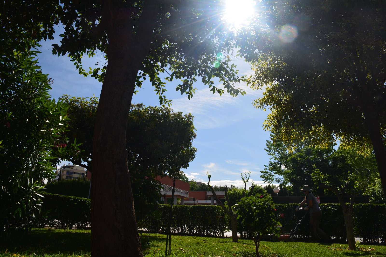 Mantenimiento de Jardines