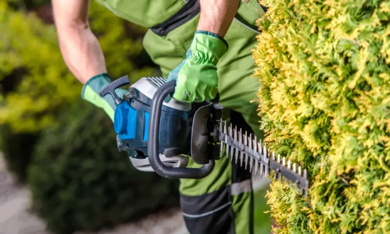 La importancia de un Jardinero profesional