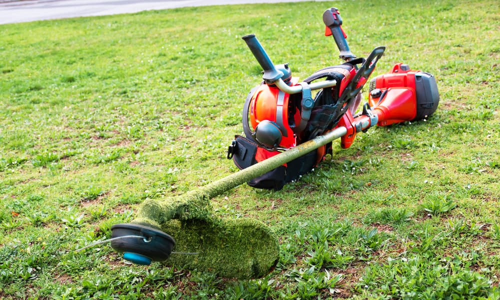 Desbroces de fincas en Granada