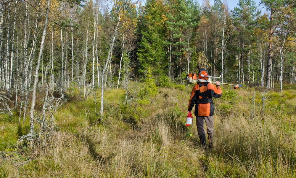 Desbroces de fincas en Granada